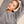 Line Of Oslo Luna Sequins Dress Dress Grey 005